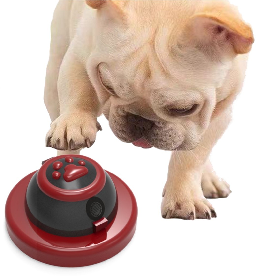 A French bulldog reaching out a paw to press the red Doggie-GO! bell