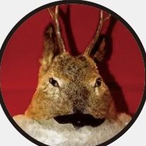 A traditional Oroqen deer-head hat