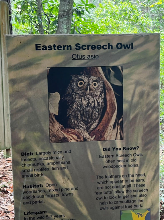 Zoo information board of an Eastern Screech Owl