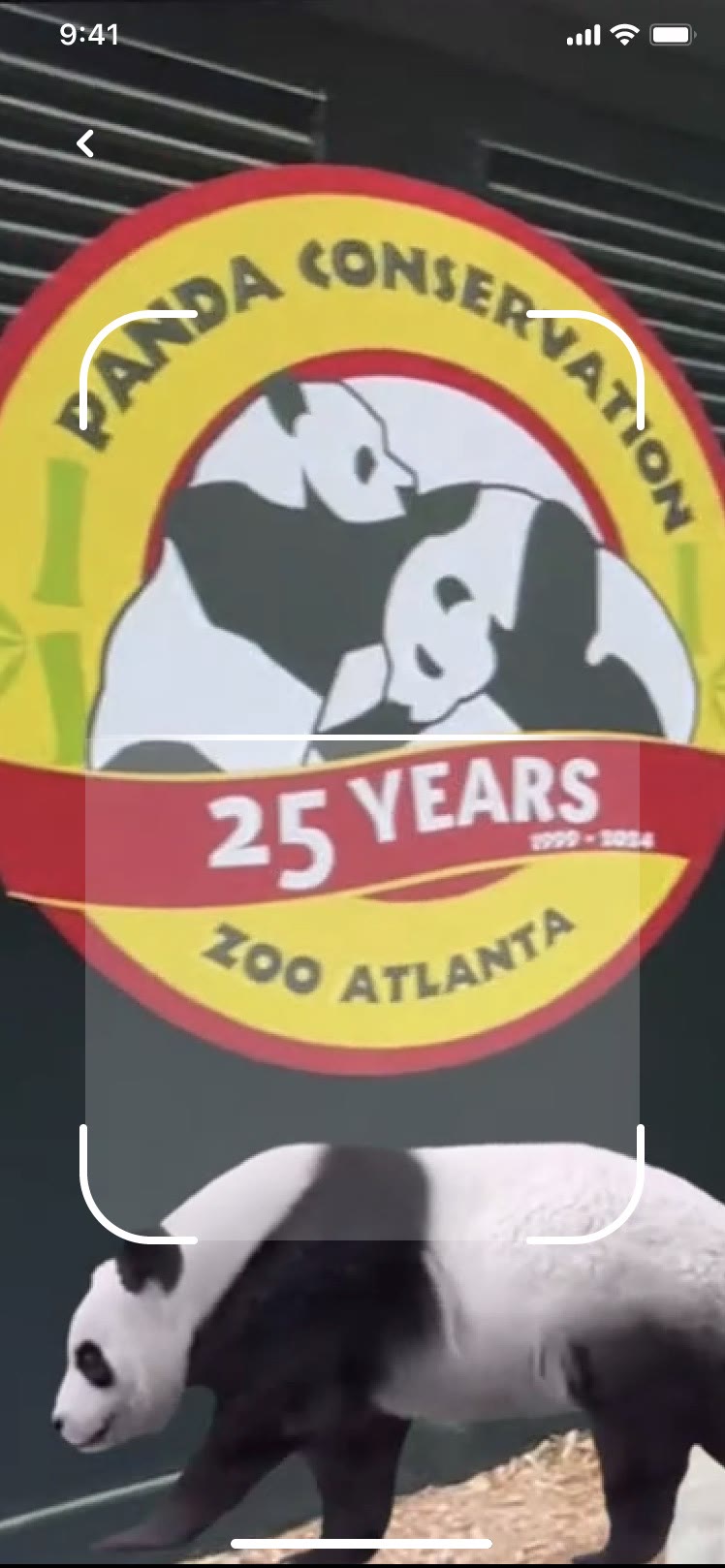 AR panda appearing in front of the Panda Conservation sign
